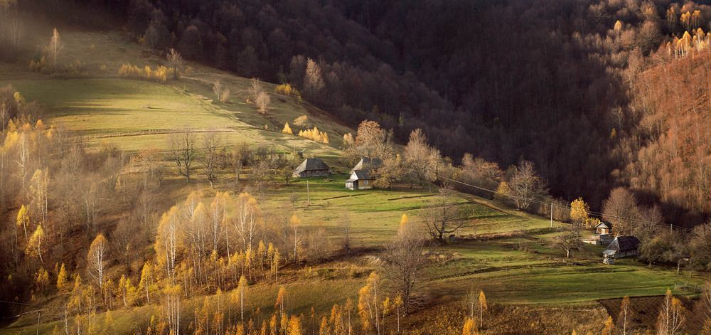 осень