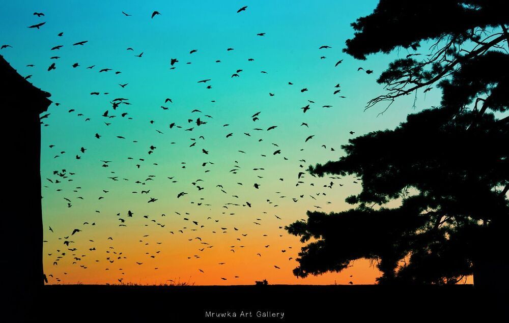 sky