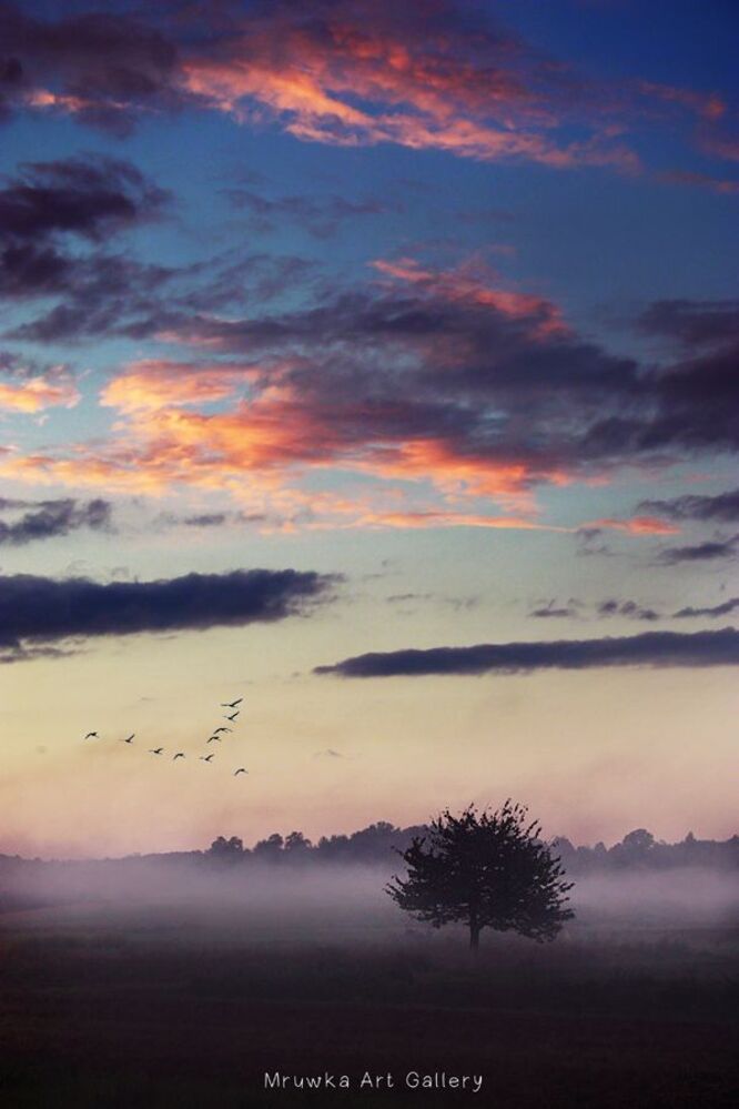 sky