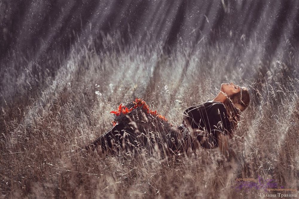 Photo 446469