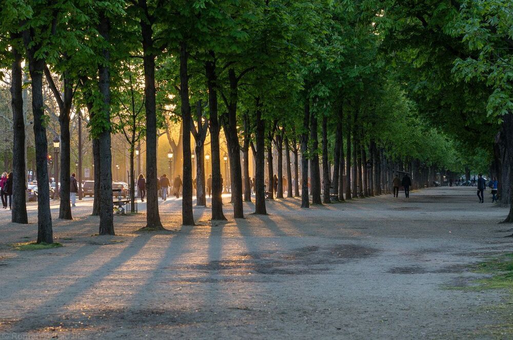 Sun is setting down over Champs Elysees, Paris