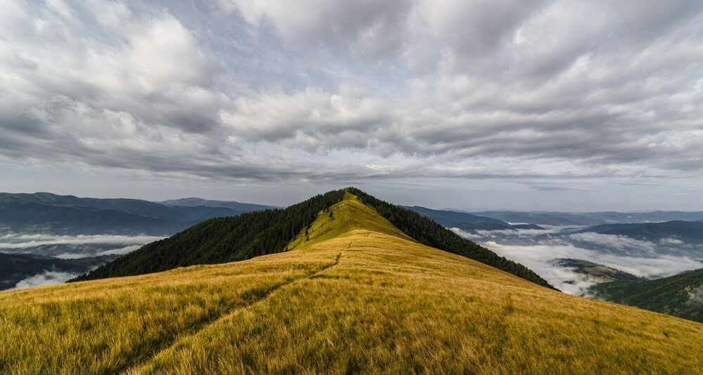 Periwinkle mountain. Pishkonya ridge. Carpathian mountains.