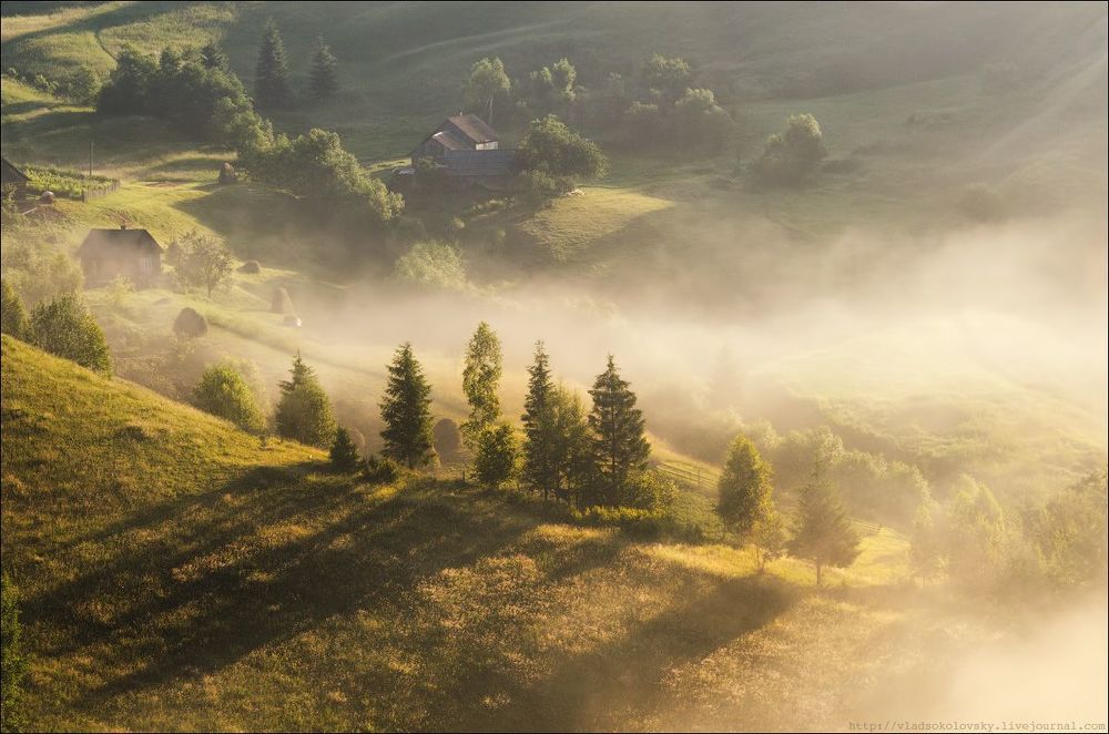 / Закарпатские пасторальки /