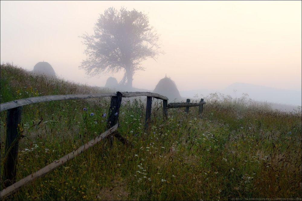 / Закарпатские пасторальки /