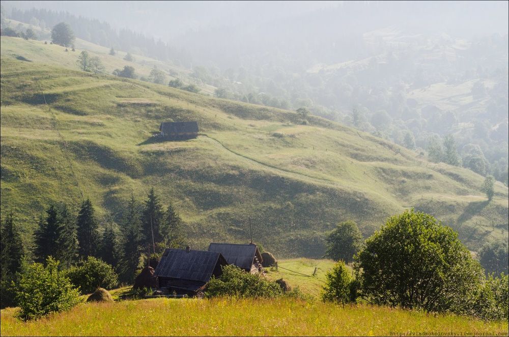 / Закарпатские пасторальки /