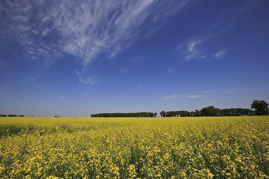 Киев, Украина