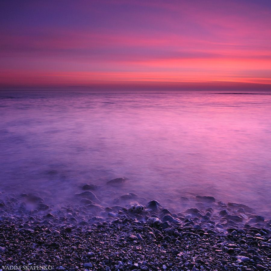 Pink Dawn
