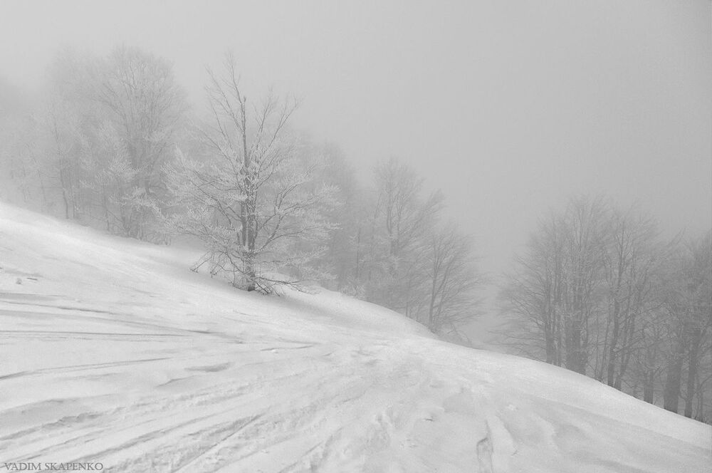 Misty Road