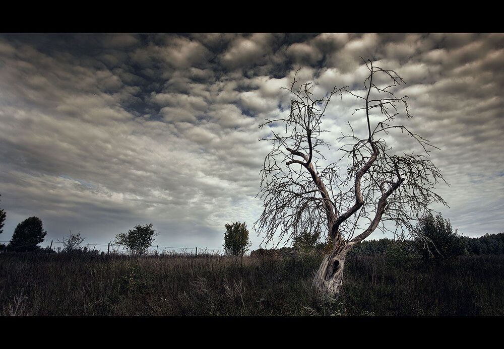 Nord