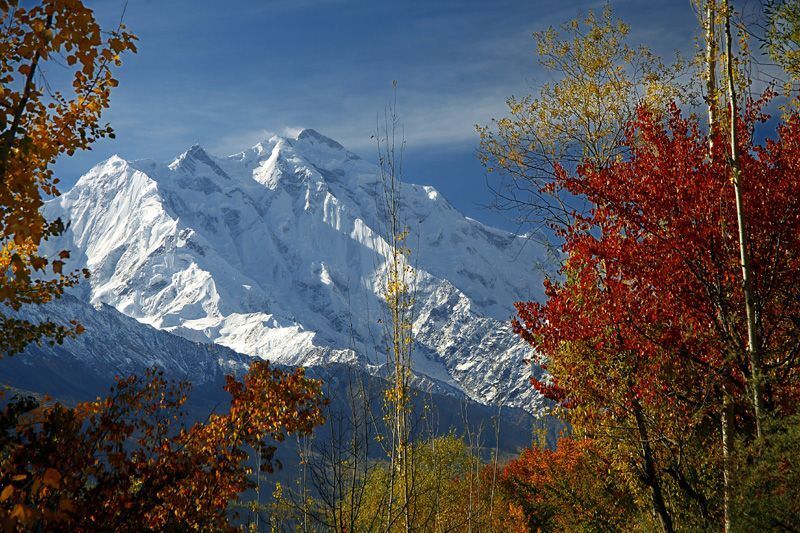 Rakaposhi Peak Pakistan