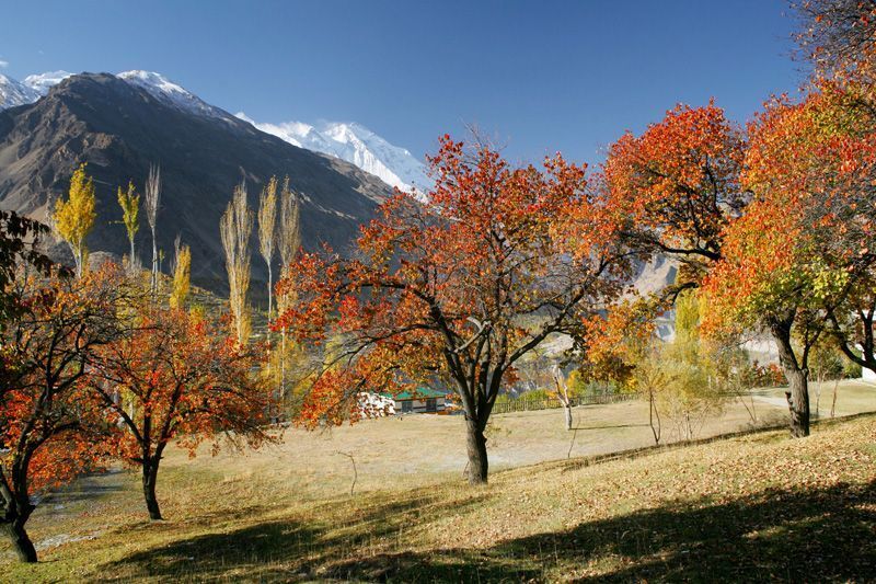 Rakaposhi Peak Pakistan