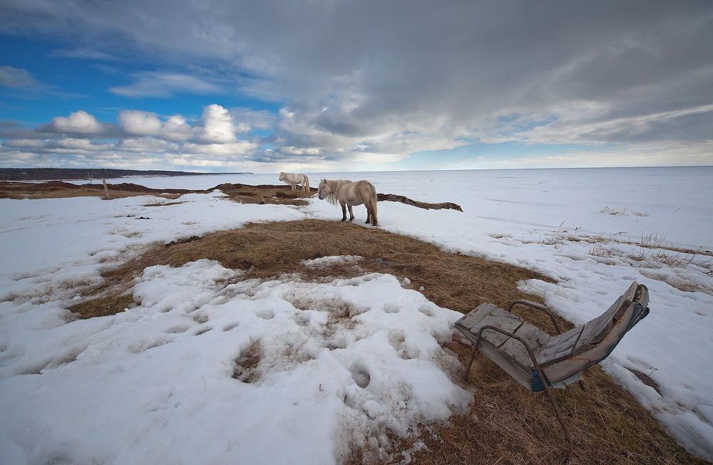Терский берег, Белое море...