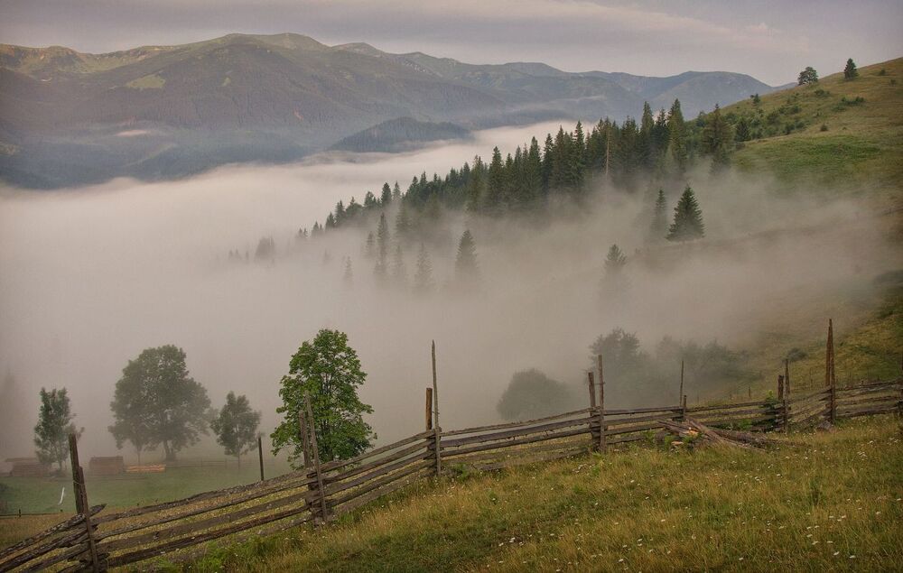Ловушка для тумана