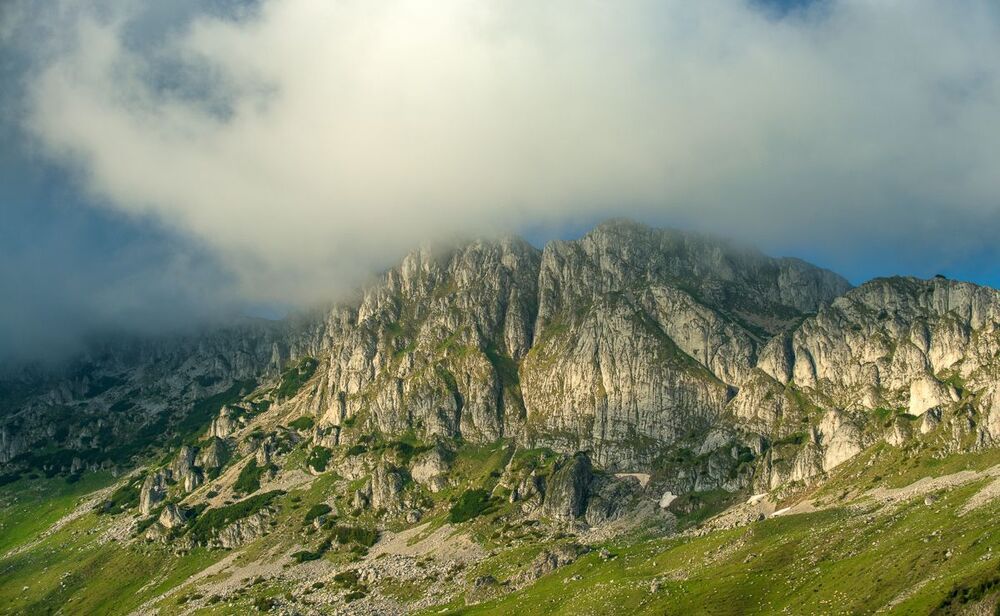 Mountain Summer