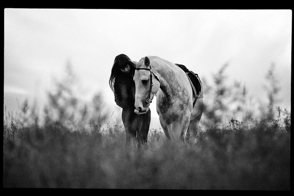 Photo 452764