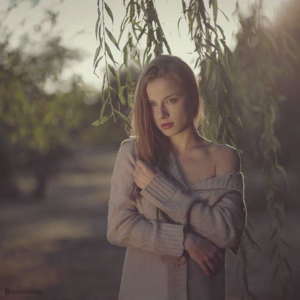 Звезделина