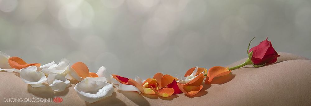 DQD Nude art