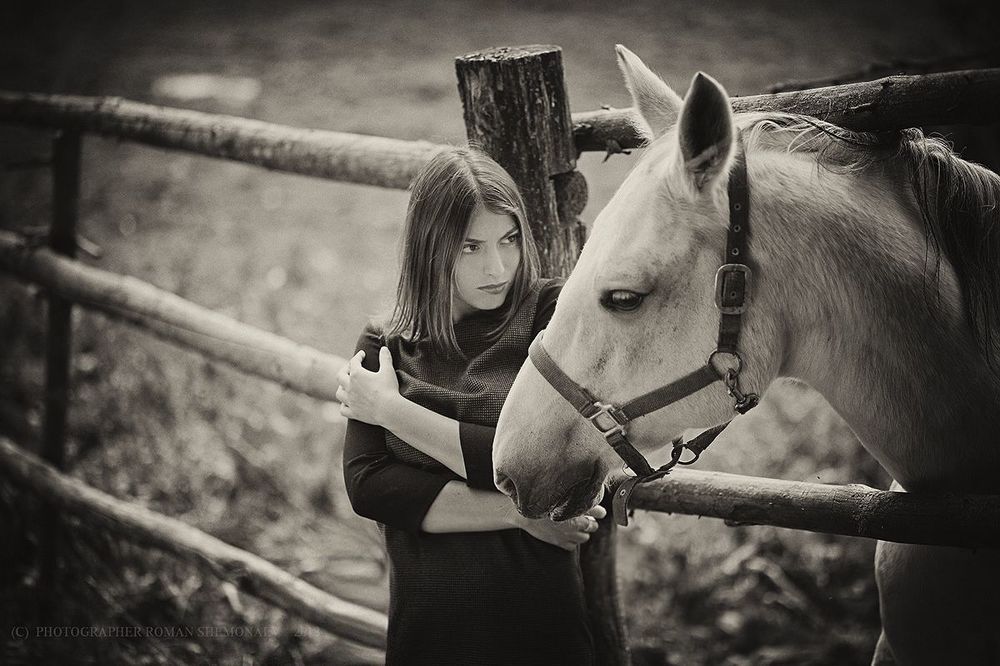 Photo 454407