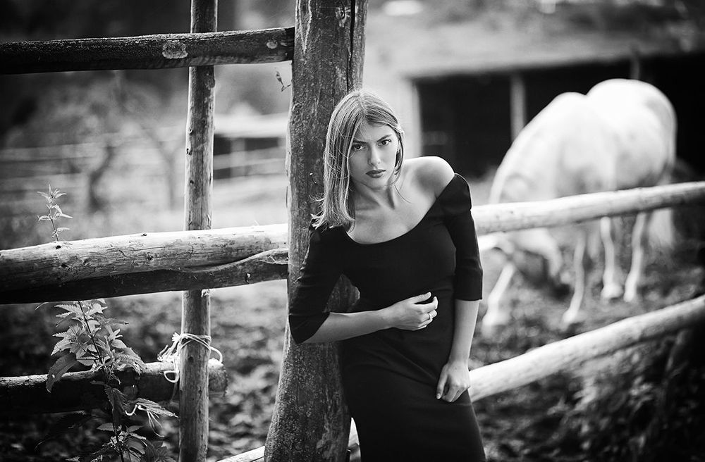 Photo 454408