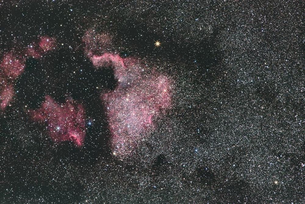 В ТЫСЯЧАХ ЛЬЕ ОТ ЗЕМЛИ

Водородная туманность NGC-7000, или Северная Америка. Её размер составляет 54 световых года. Расстояние до Земли 1,5 тысячи световых лет. Атомы водорода, возбуждённые жёстким излучением молодых горячих звёзд, излучают фотоны, которые придают туманности специфический розовый и красный цвет. Снято на кэнон 50д + Юпитер 21м 18.10.12