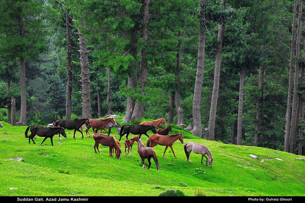Arang Kel Kashmir Valley Pakistan!