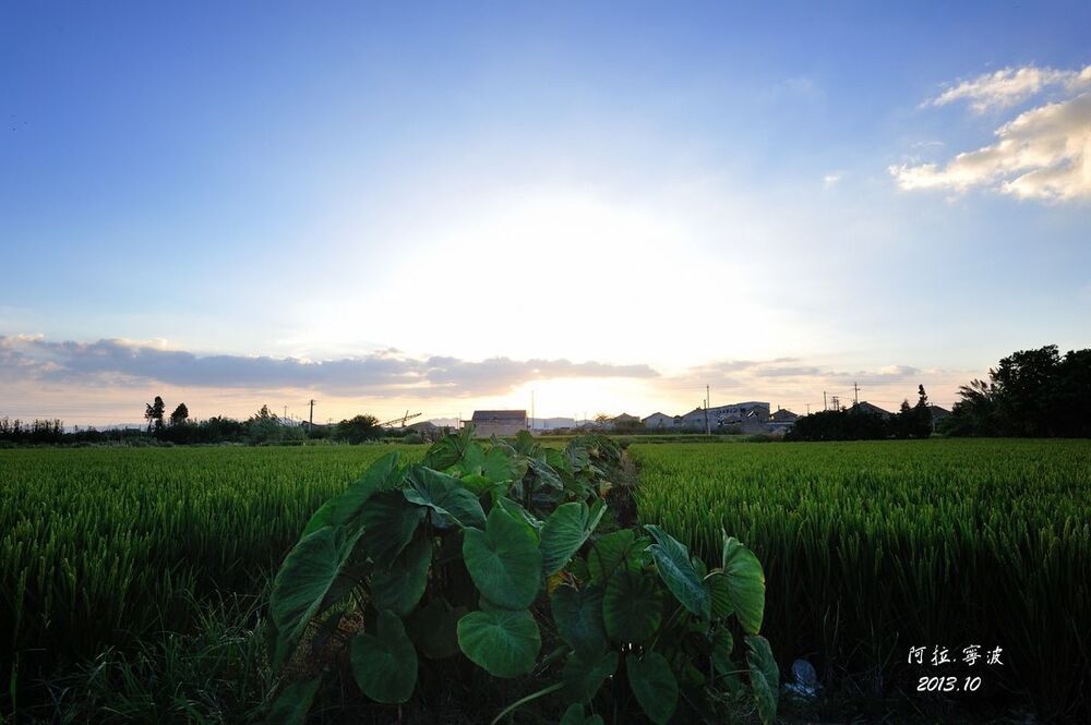 NingBo