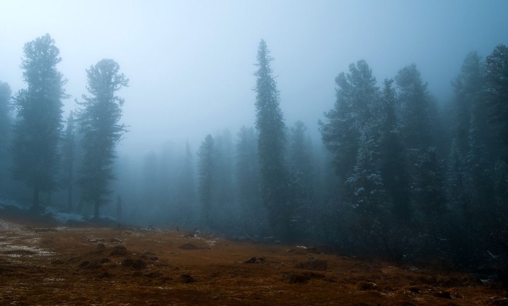 Photo 455490