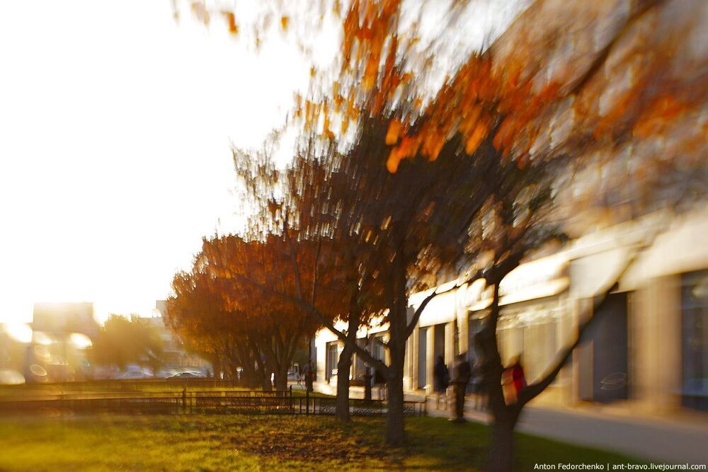 Autumn light