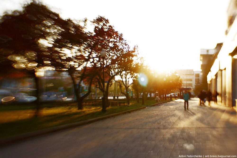 Autumn light II
