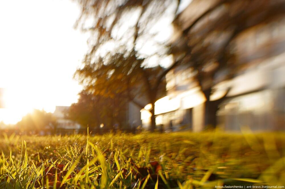 Autumn light III