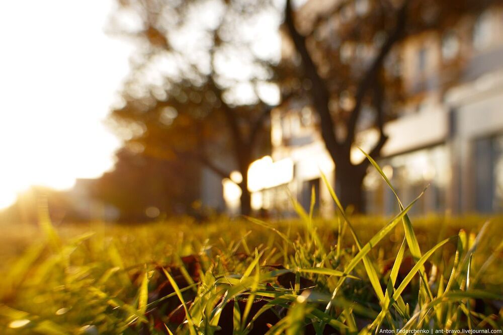 Autumn light IV