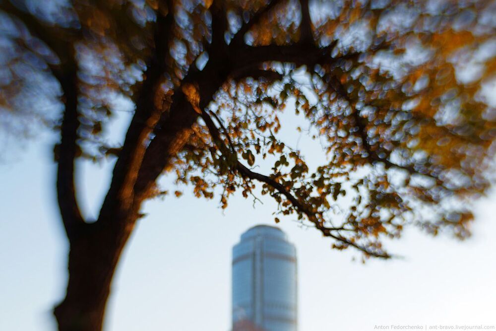 Autumn light V