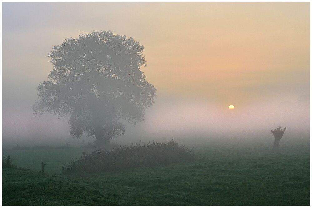 Today a foggy morning.