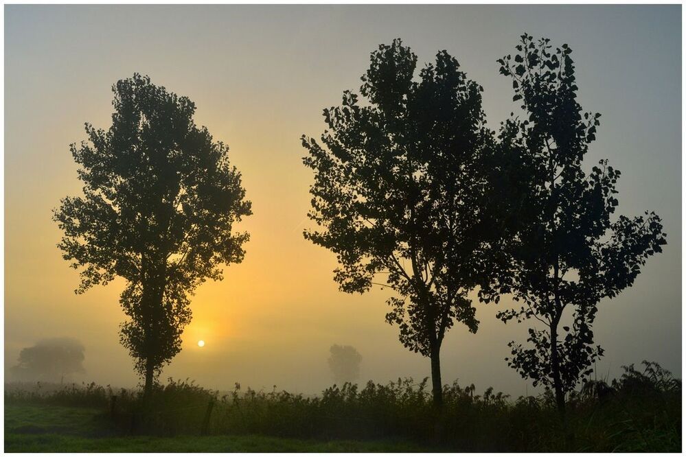 Today a foggy morning.