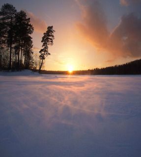 Мартовская поземка