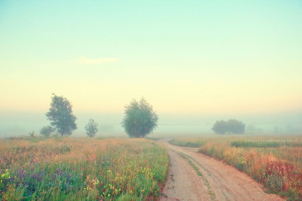 Color morning