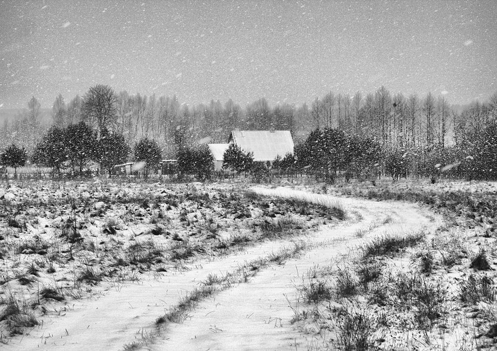 Winter