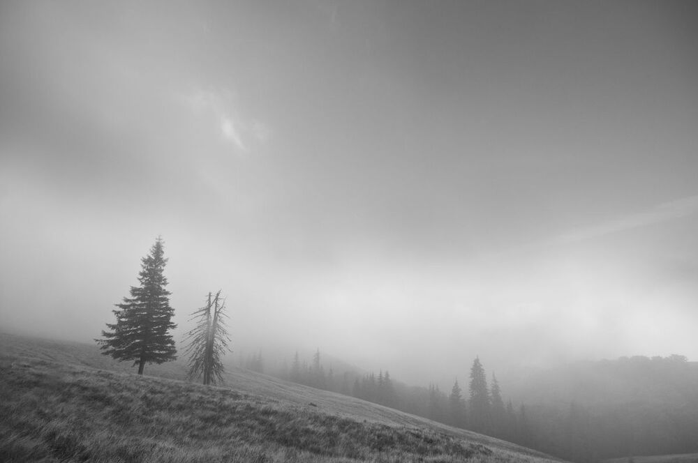 Photo 456566