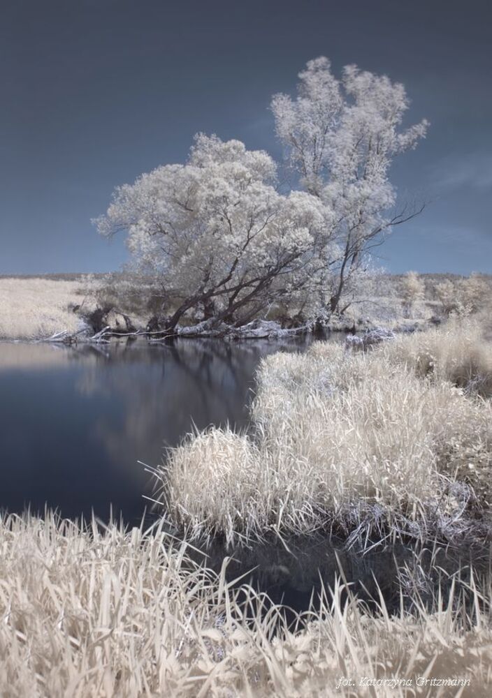 infrared world - Kamienna river