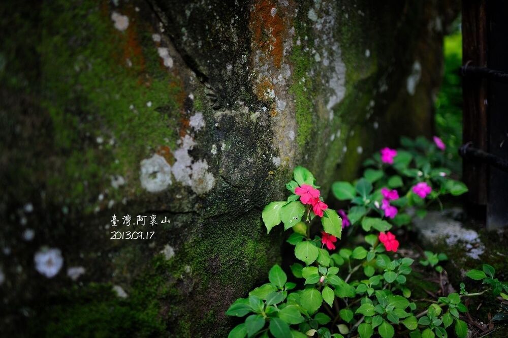 taiwan