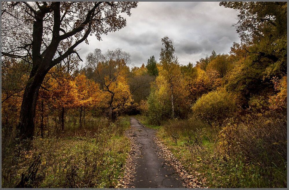 осенний альбом