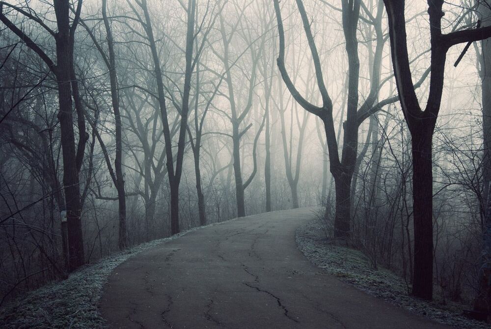 Photo 457875