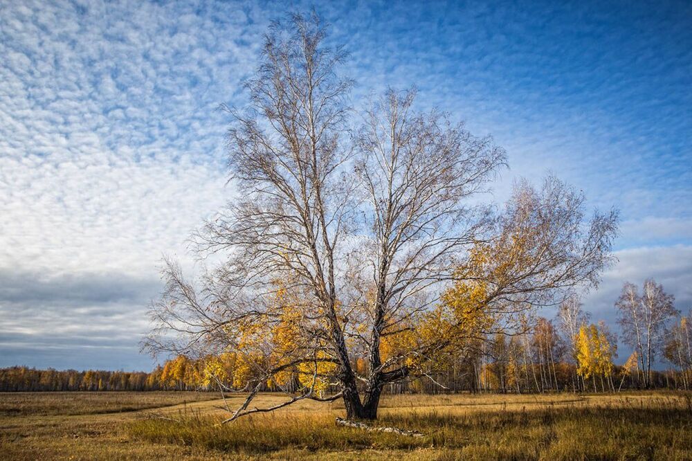 Осень