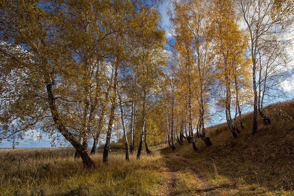 Осень