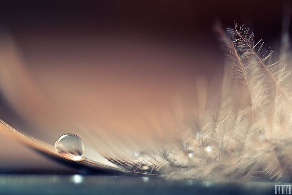 Stories of drops