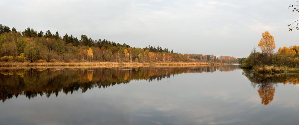 Разная осень
