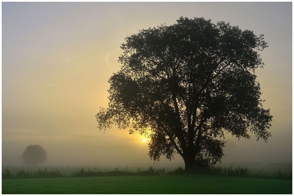 A foggy morning.