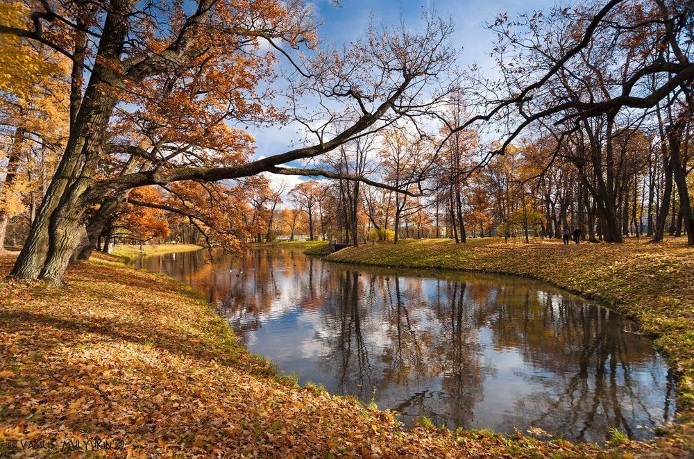 В Александровском парке ....