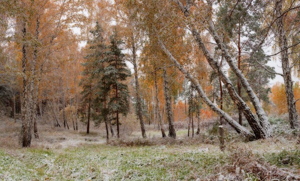 Однажды осенней порою я из дому вышел, гербарий собрать&hellip;