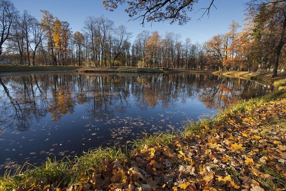 Осень в Александровском парке